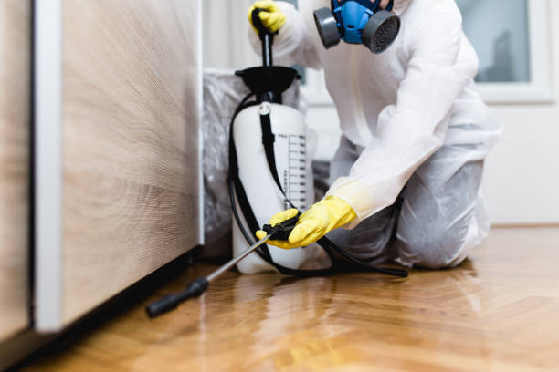 Best Pest Control for Businesses  in Swisher, IA