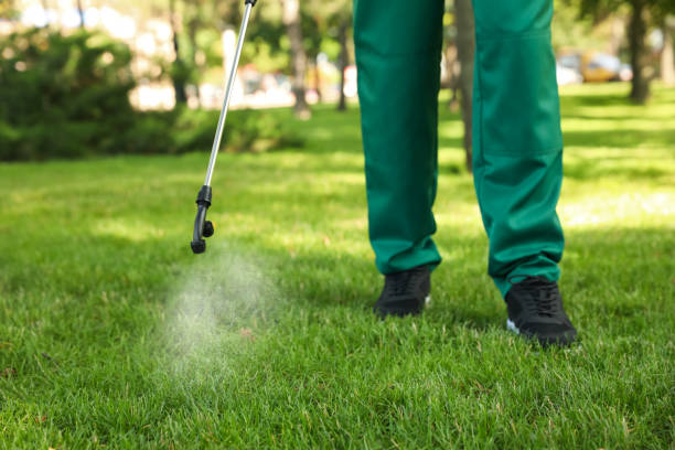 Best Termite Control Services  in Swisher, IA