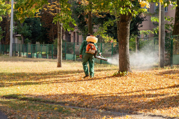 Best Pest Control for Businesses  in Swisher, IA