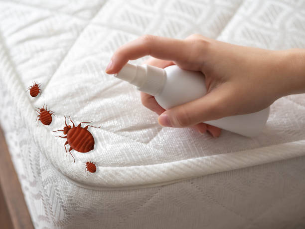 Flea Control Services in Swisher, IA