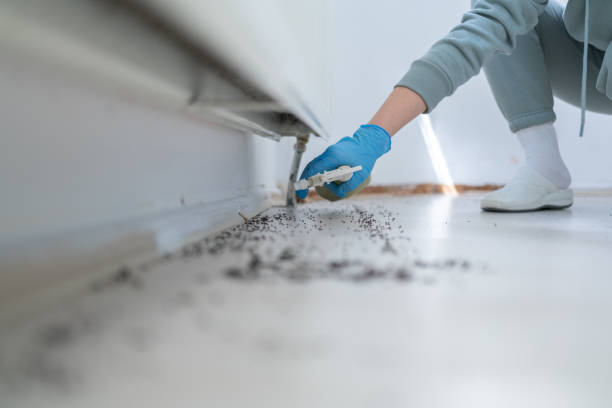 Best Residential Pest Control  in Swisher, IA